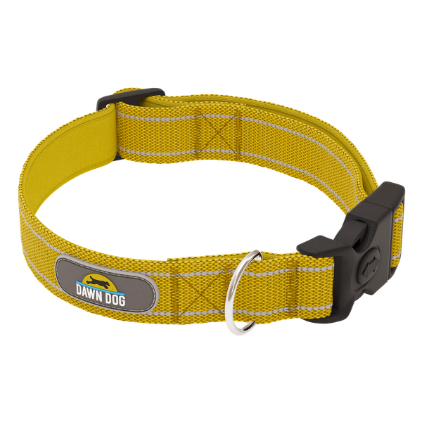 Sunrise Yellow