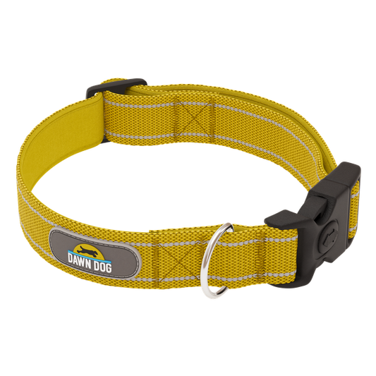 Sunrise Yellow