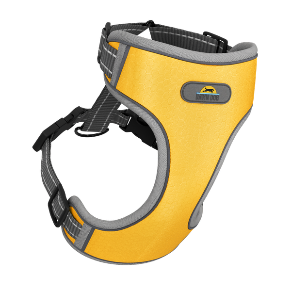 Sunrise Yellow