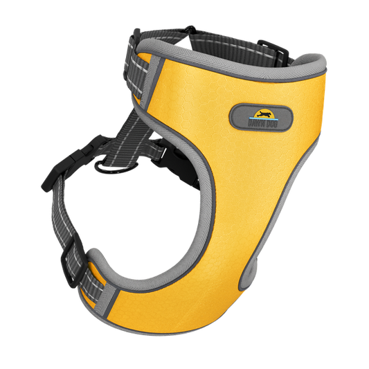 Sunrise Yellow