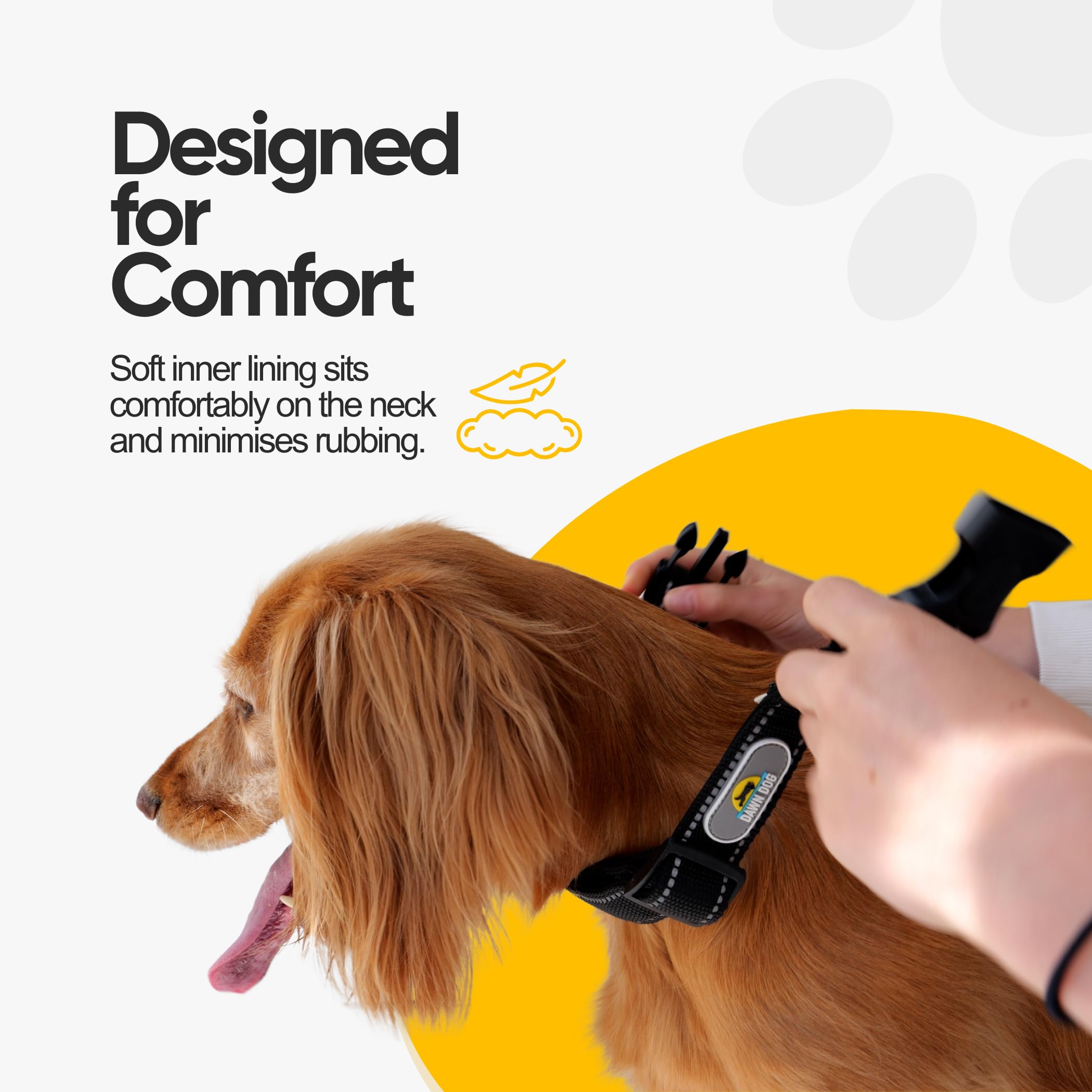 misty dog gear Misty Grey